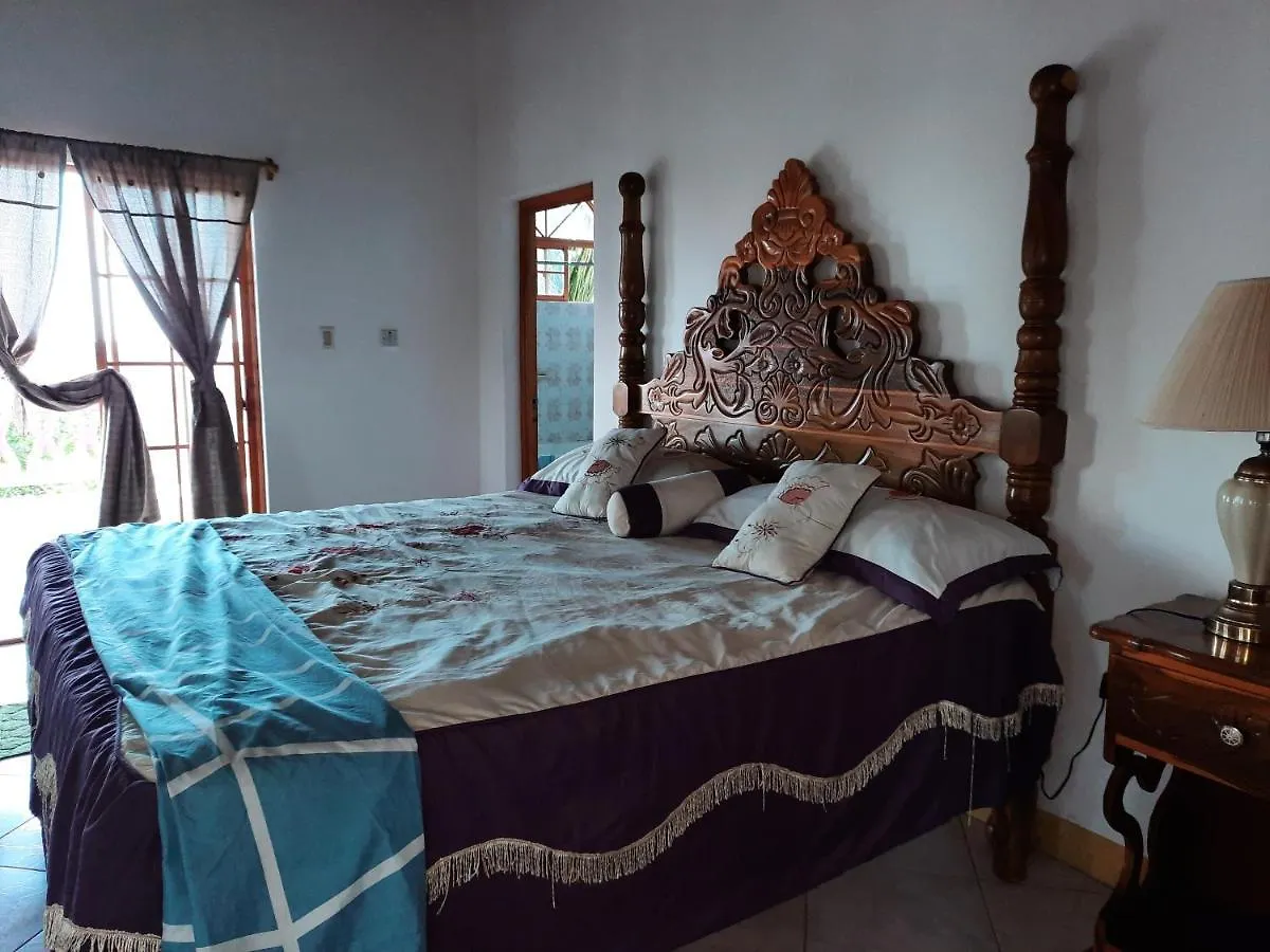 Burg Ann'S Villa Montego Bay Pensjonat