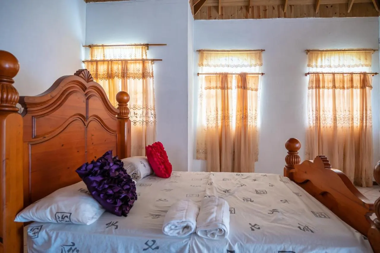 Burg Ann'S Villa Montego Bay Pensjonat