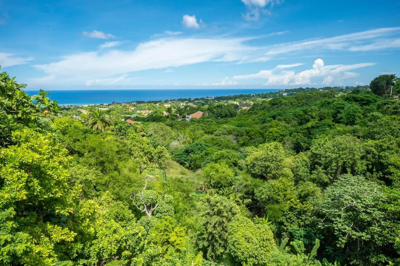 Pensjonat Burg Ann'S Villa Montego Bay Jamajka