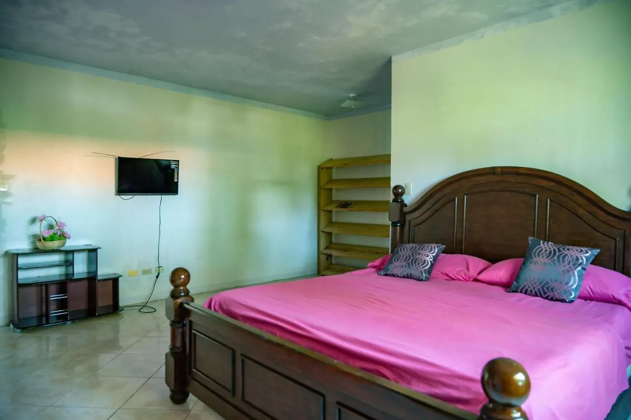 Burg Ann'S Villa Montego Bay Pensjonat