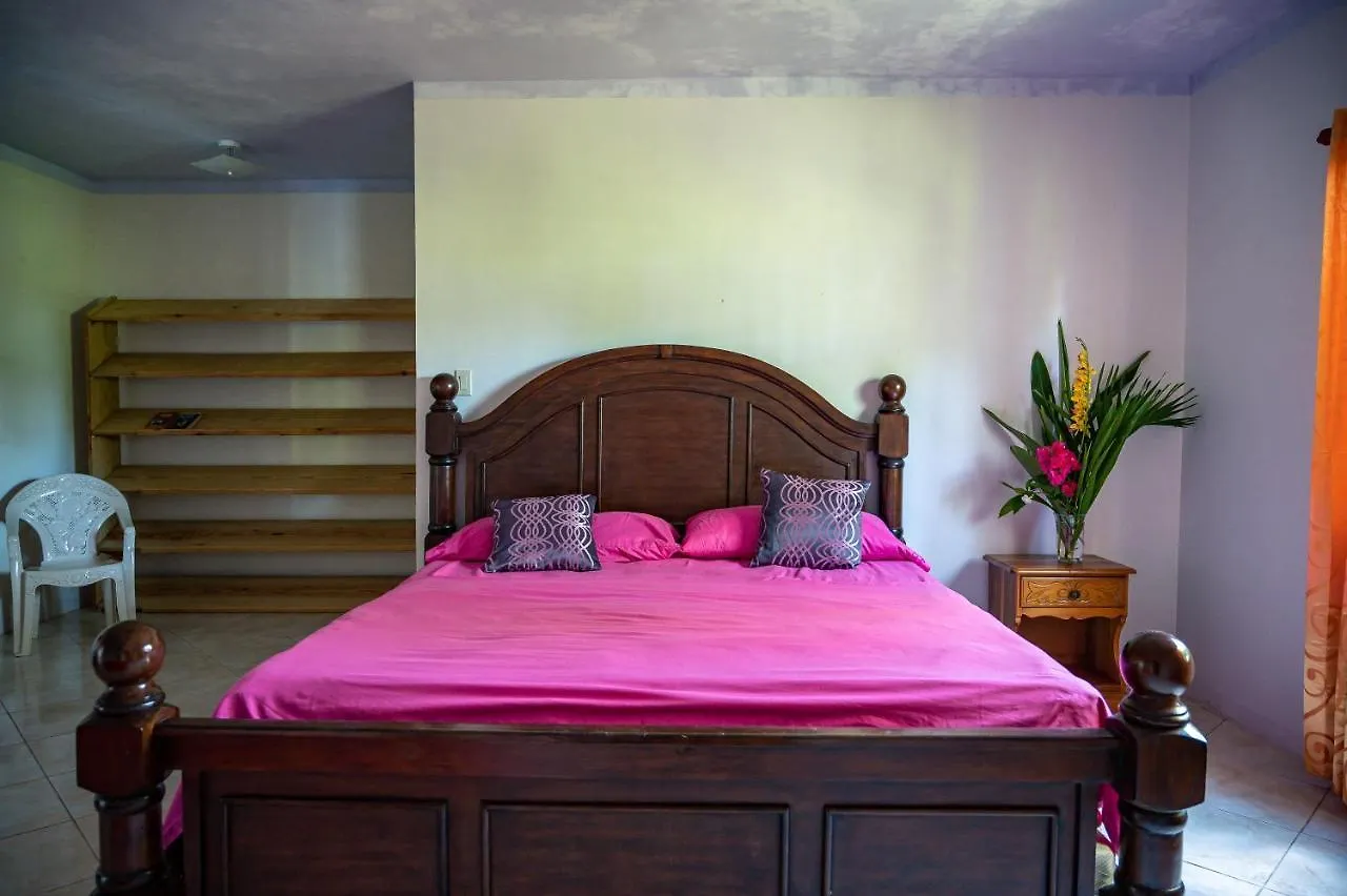 Burg Ann'S Villa Montego Bay Pensjonat