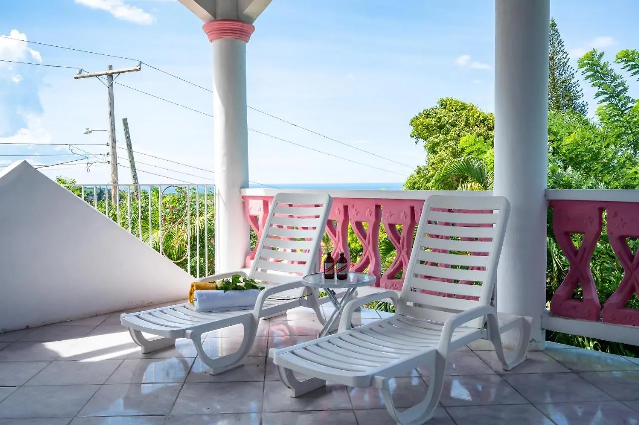 Burg Ann'S Villa Montego Bay Pensjonat