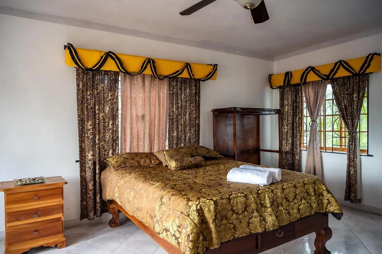 Burg Ann'S Villa Montego Bay Pensjonat