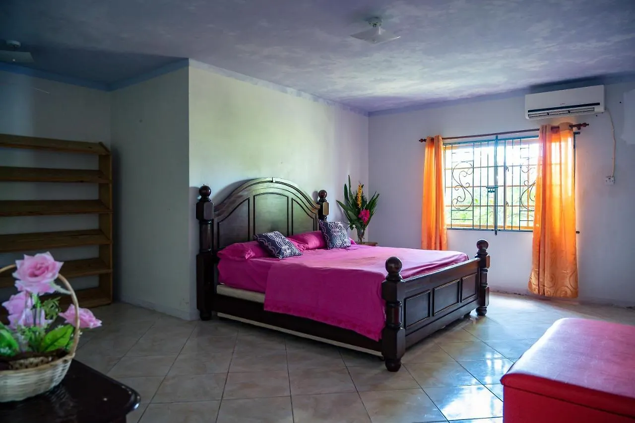 Casa de hóspedes Burg Ann'S Villa Montego Bay Jamaica