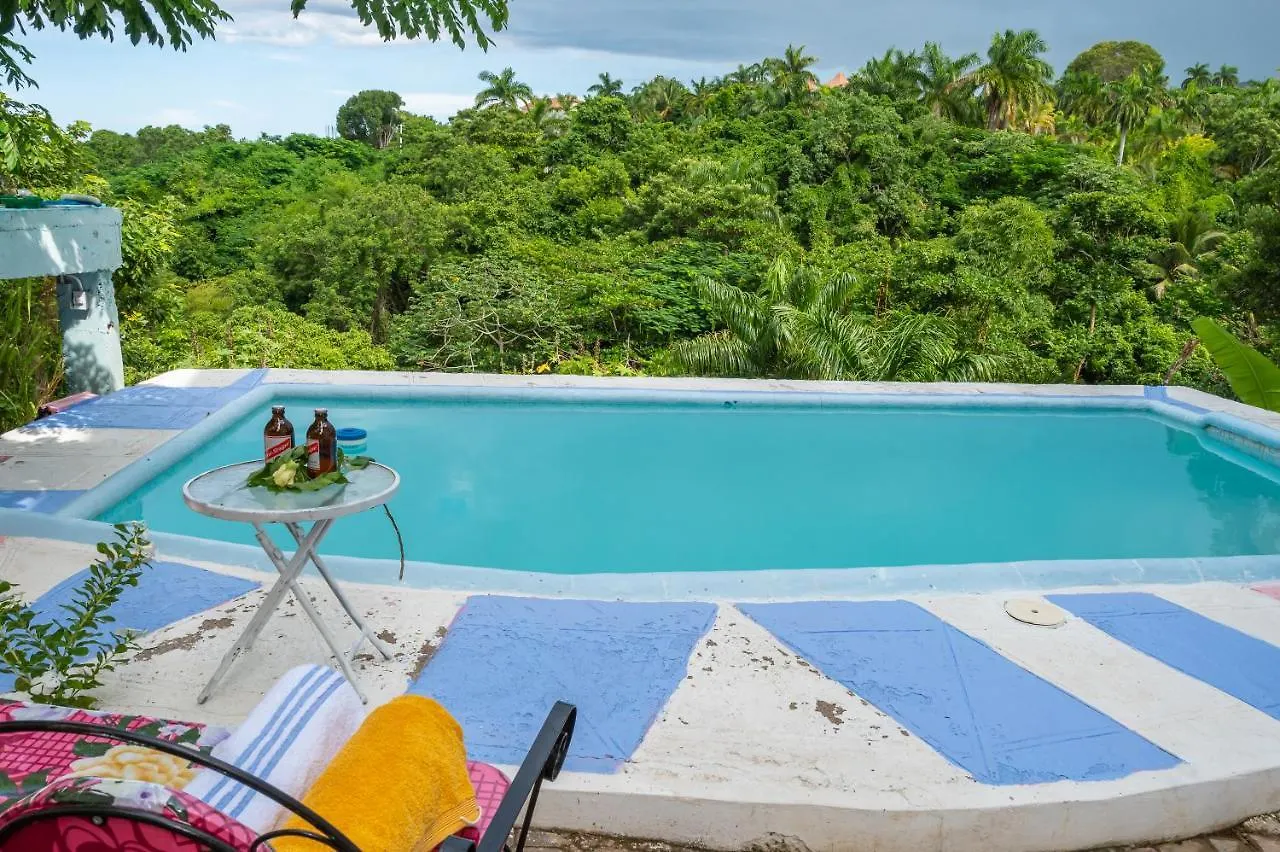 Burg Ann'S Villa Montego Bay Casa de hóspedes